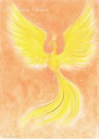 Out of the Ashes